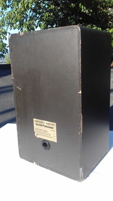 Boxe model Grundig Super Hi-Fi Box 650 Professional