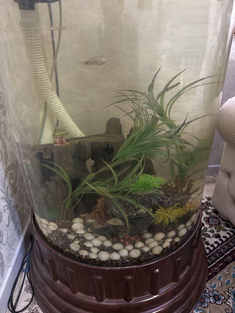 Aquarium made in china
