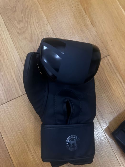 Manusi kickbox Venum