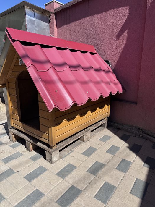 Cusca caine talie mare