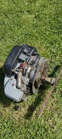 Cînd motor mașina tuns iarba sau motosapă necesita carburator