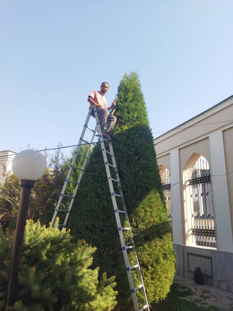 Archa va Gazon Landshaft Daraxt ikkish xizmati Bogʻbon