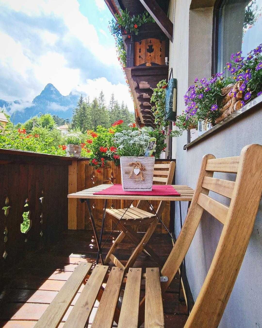 Amor Tirol Bușteni - Apartament 1 dormitor cu balcon, vedere la munte