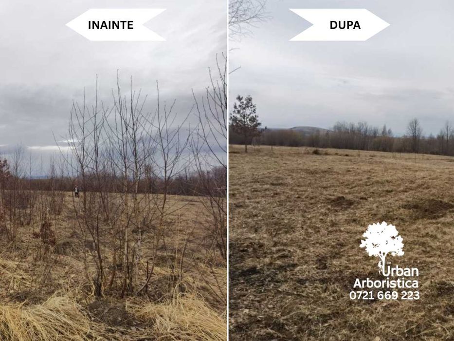 Defrișare Teren, Curățat Livada, Gradina - Cosit Tuns Gard Viu Brașov