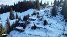Chirie pe teremen lung Bucovina! Posibilitate afacere