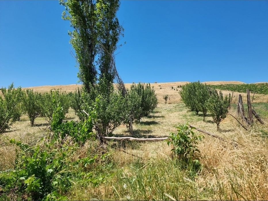 Продам земельный участок 6 соток