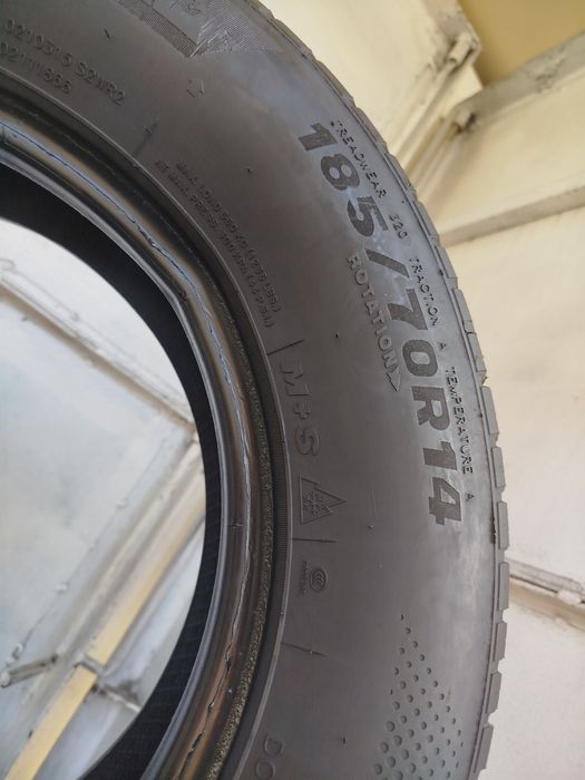 14 balon arca Minerva