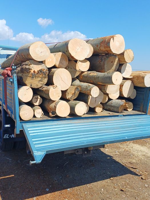 Lemn de foc- ""FAG""