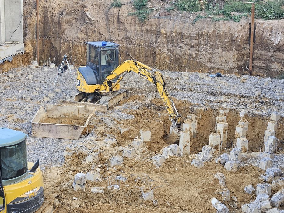 Блоха сдам в аренду мини Экскаватор услуги аренда