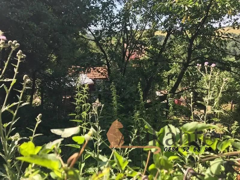 Продава се Парцел в Банкя - 1511 кв.м за 22 €/кв.м - Снимка #3
