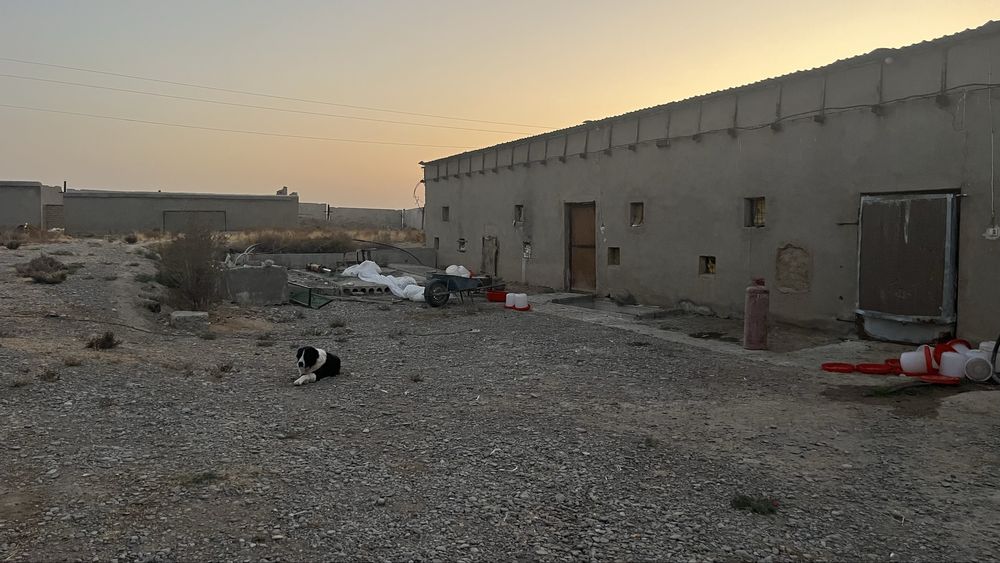 Шуртан Аланга кучмас мулк