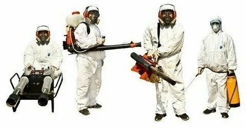 Дезинфекция, дезинсекция, фумигация, дератизация в Кызылорде!