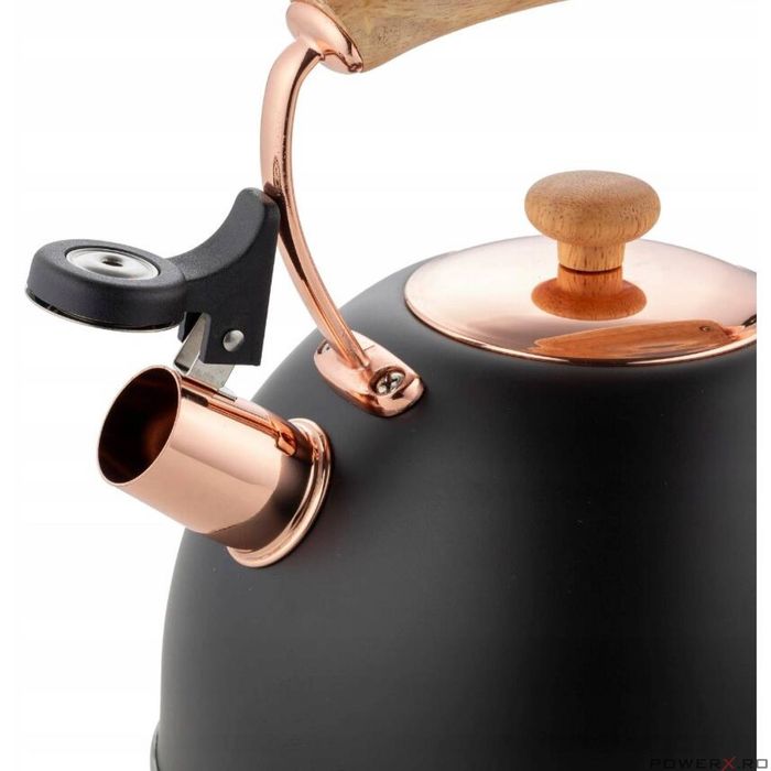 Ceainic din inox cu fluier, fierbator traditional, capacitate 2.5