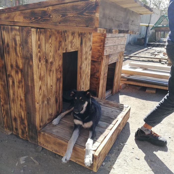 Бутка для собак новая