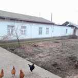 Hovli sotiladi. Holati zor