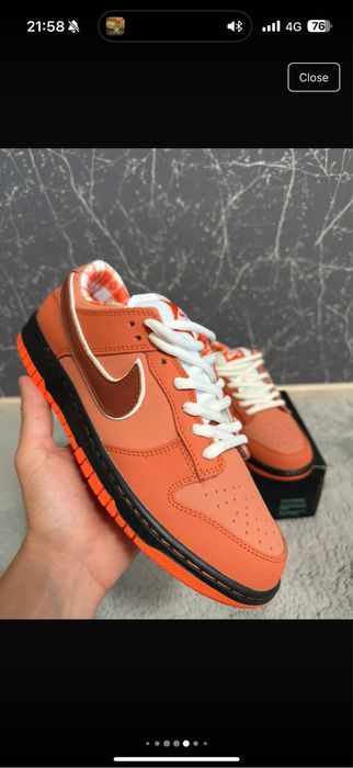 Nike dunk SB lobster orange