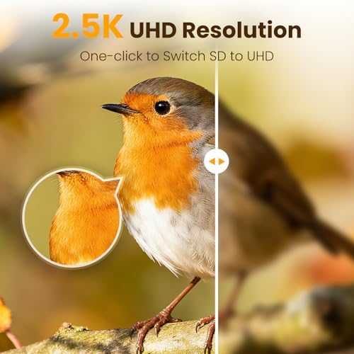 Нова Смарт хранилка за птици с AI разпознаване 2.5K камера за открито