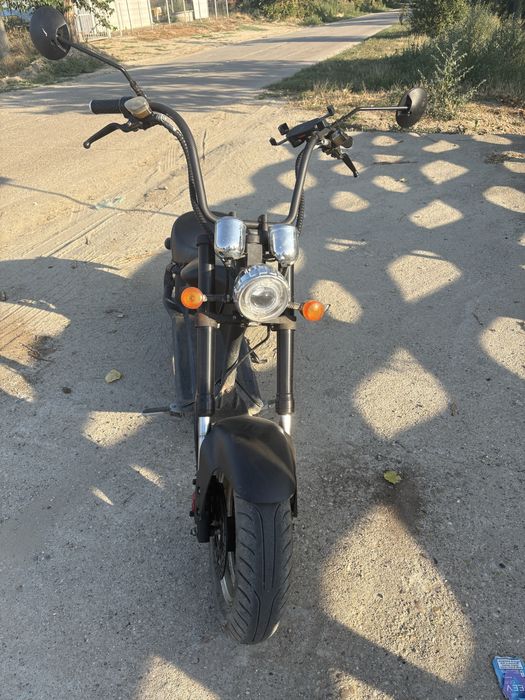 Vand scuteter electric chopper