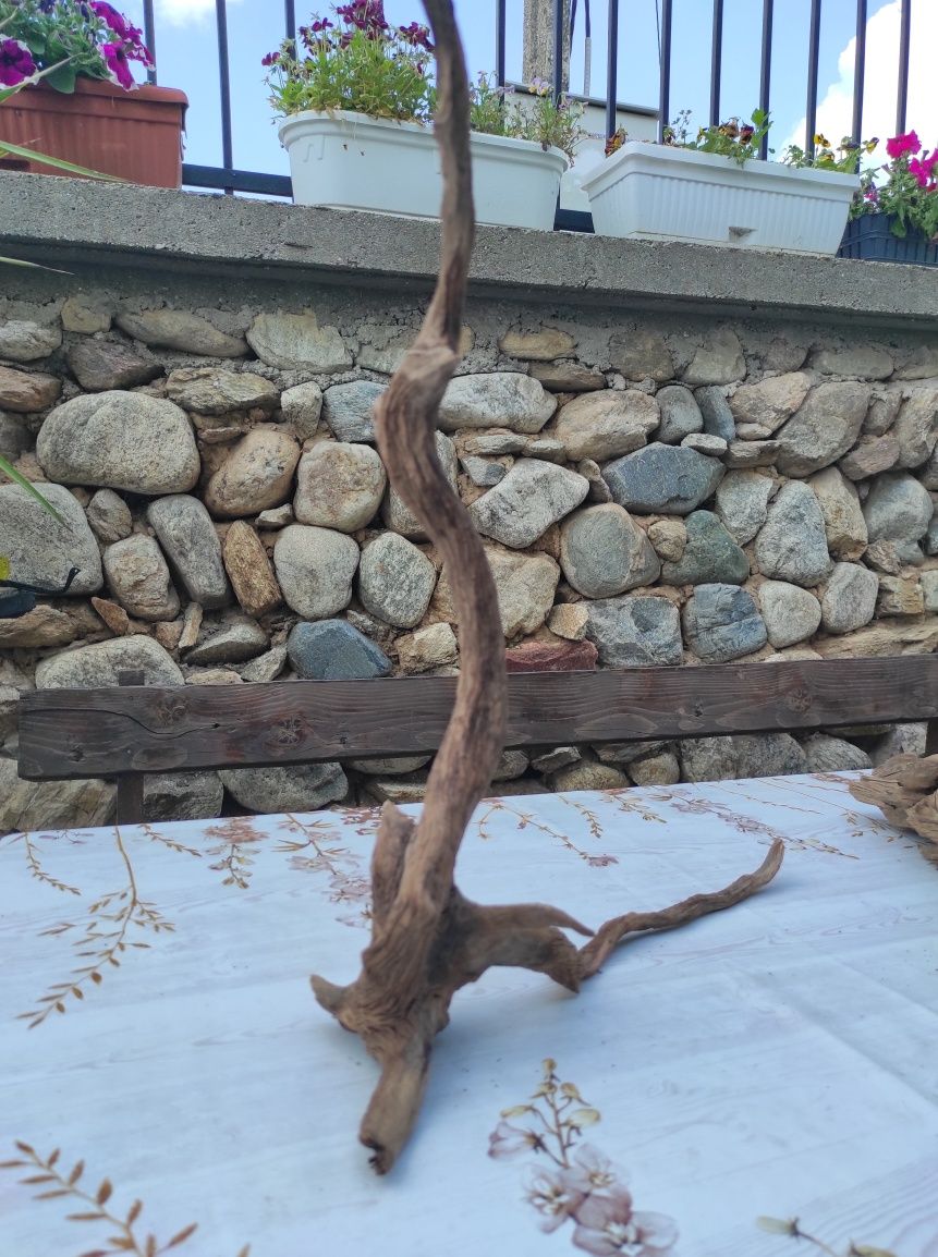 Корени за аквариум