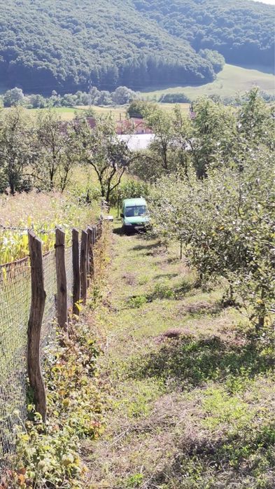 Livada in Fizesul Gherla cu 270 pomi fructiferi