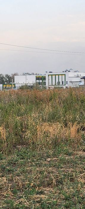 19 км Алмалыбак школа