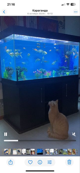 Продается аквариум для рыб