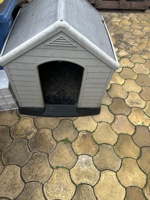 Cusca caine talie mare 99x95 cm