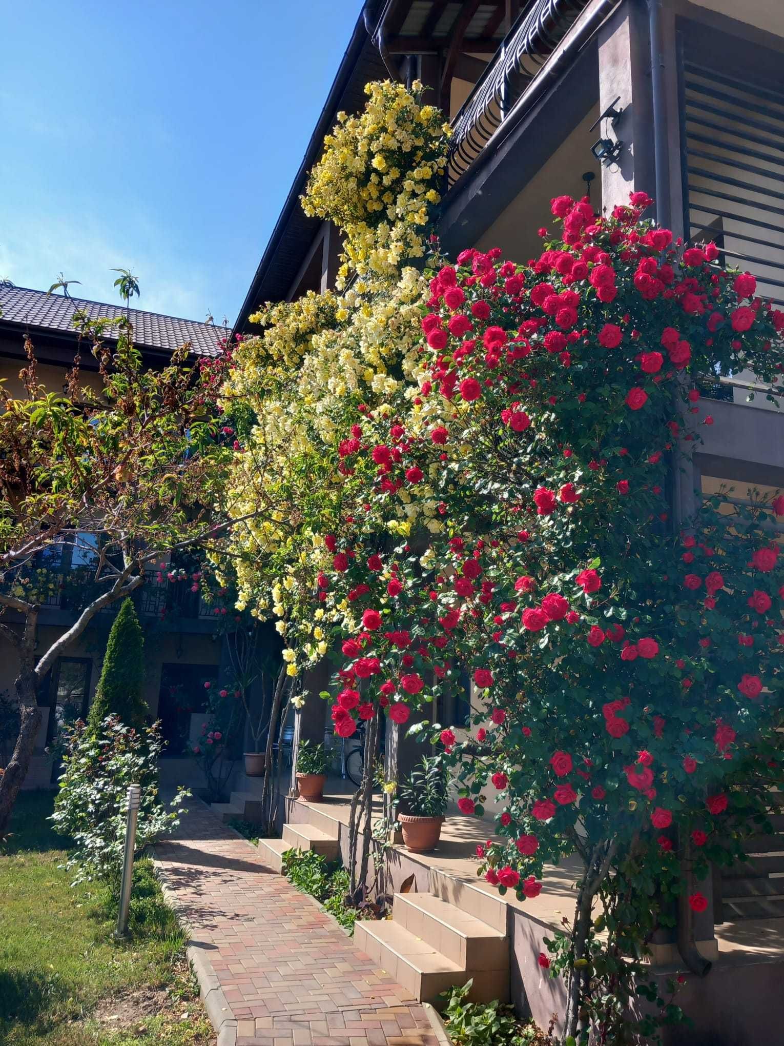 Pensiune vanzare /Mic hotel