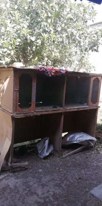 Katak Sotiladi 2xonali