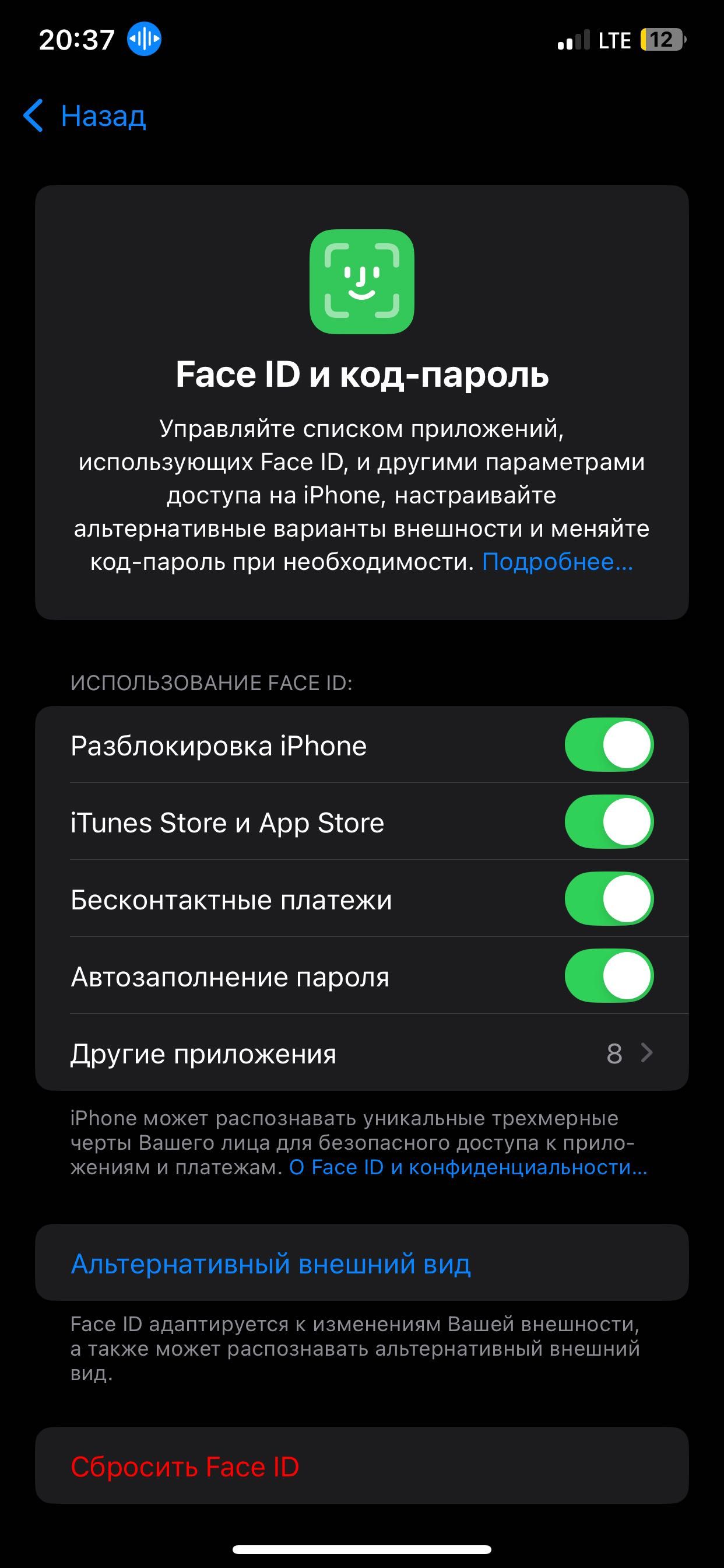 IPhone XS Max 256 GB
