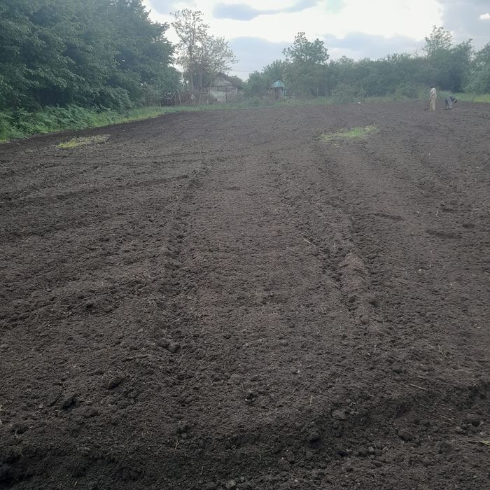 Teren casa comuna Izvoarele