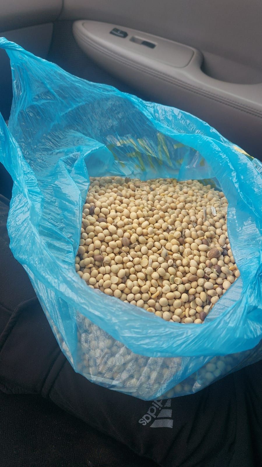 Продам Сою. Пищевую для производства много чего
