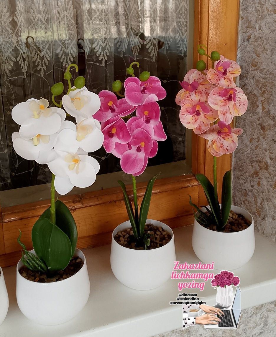 Mini orxideya 55 ming. Suniy gullar. Toshkent