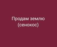 Продам землю (сенокос), 500 га, находится в Павлодарской области