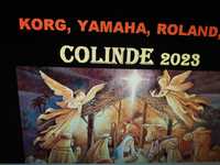 Styluri/Ritmuri Colinde noi - 2023