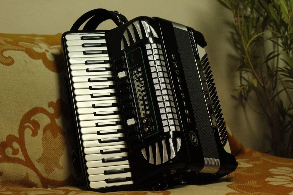 Vand Acordeon Excelsior 2/2 profesional