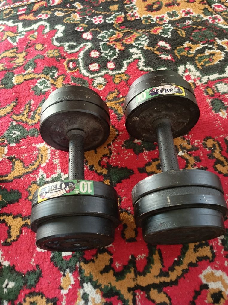 Gantel 10 kilolik 1 juft