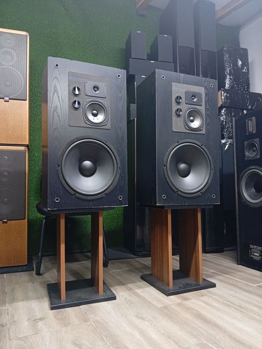 Тонколони Omni Audio SA-12.3