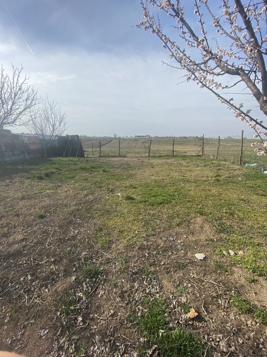 Teren de vanzare frumusani