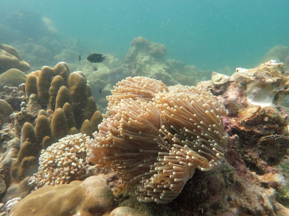 Водоустойчив и прахоустойчив фотоапарат Olympus TG-870