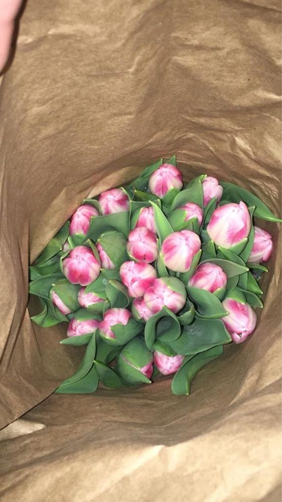 Тюльпаны оптом Алматы