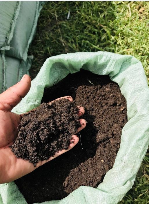 Biogomus sotamiz Optom