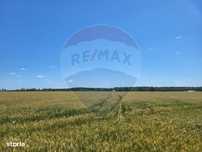 Teren Ciolpani  30800 mp, intravilan, f.s. 105m comision 0%