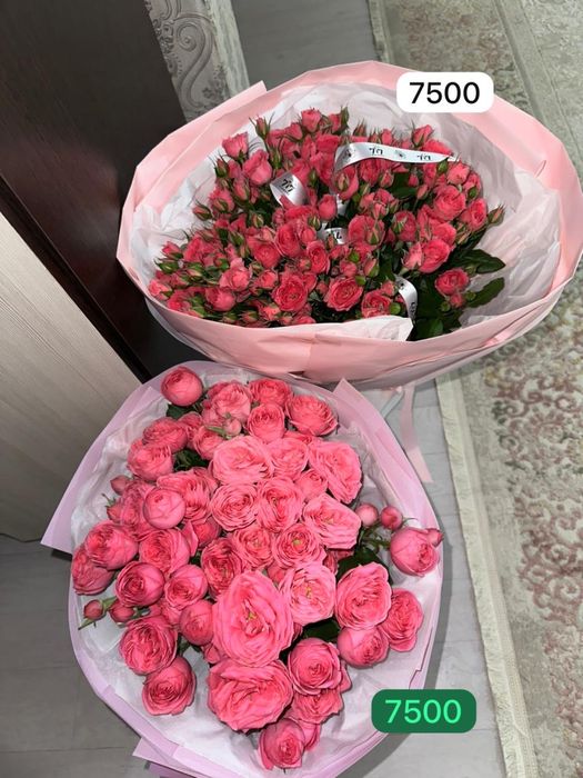 Цветы, кустовые розы, гүл