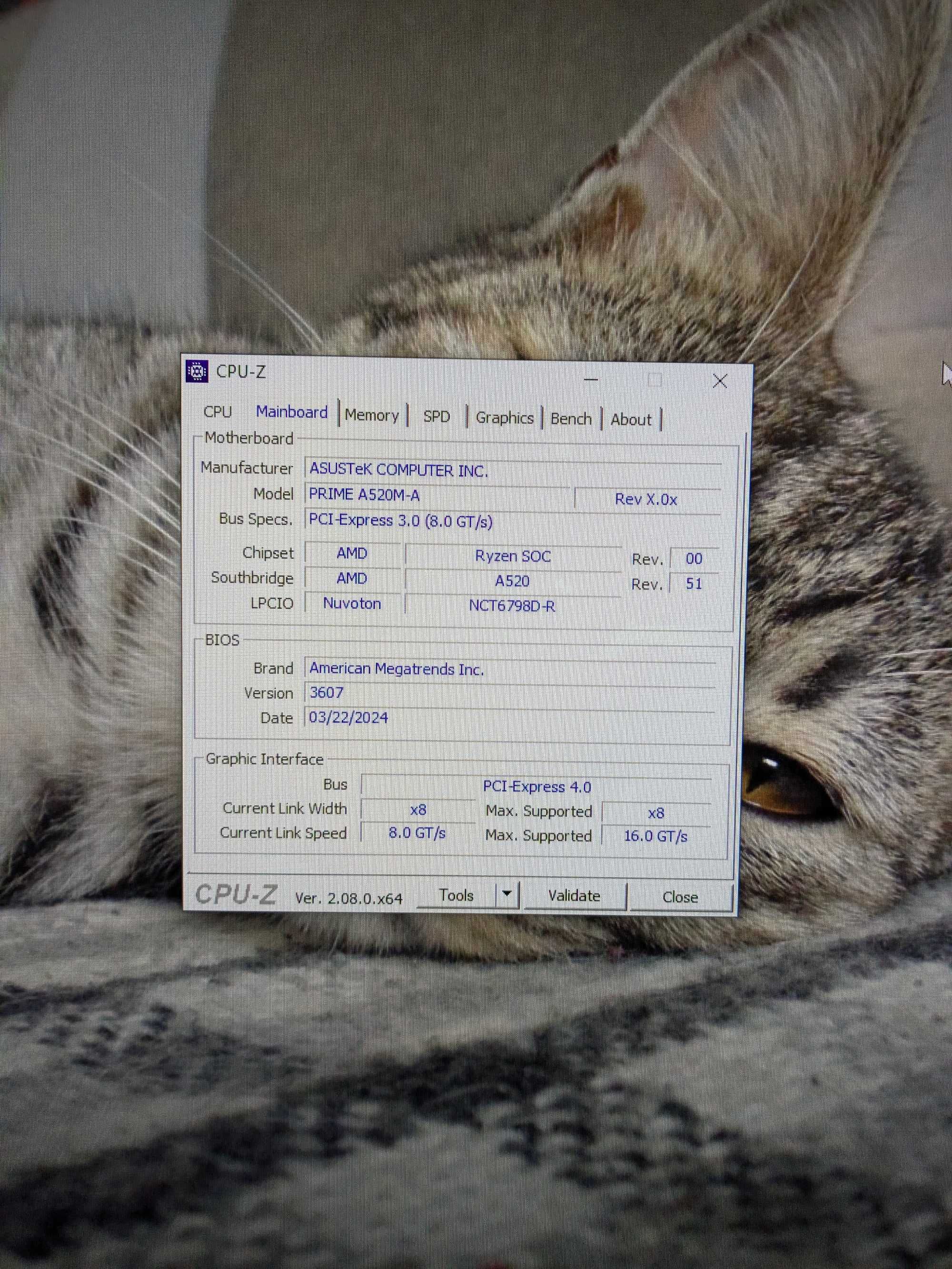 XFX RX 6600 8Gb DDR6