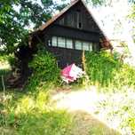 Teren intravilan, gradina, Colinelor Oradea