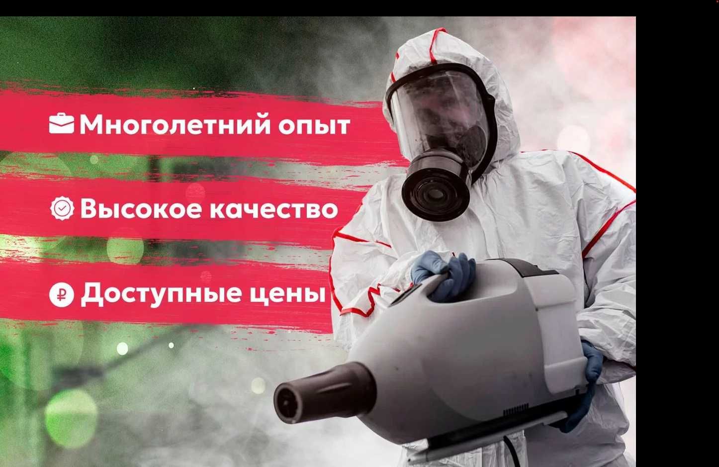 Дезинфекция тараканов от клопов dezinfeksiya klopov Уничтожение 100 %