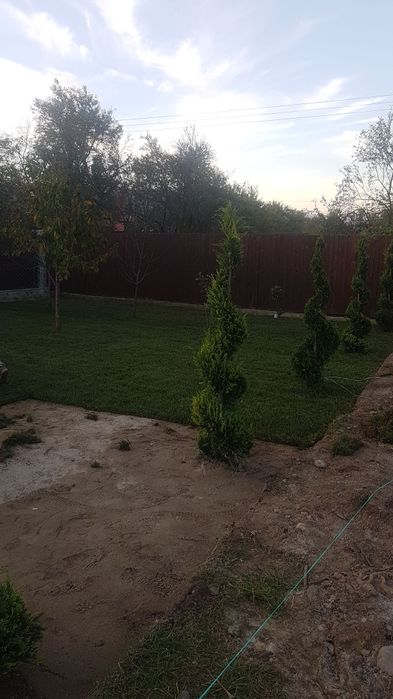 Rulouri de gazon sport