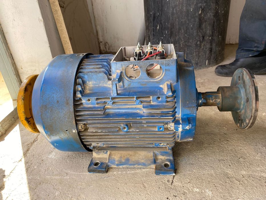 Мотор электрический