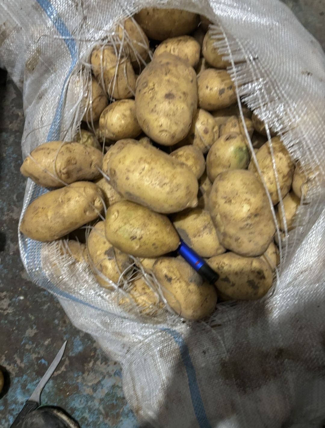 Продам Картофель от Кх без посредников.  Также ест полторашка и семено